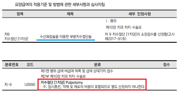 [출처 : 심사평가원]